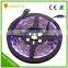  China Supplier RGB IP20 IP65 12v 5050 flexible led strip with CE RoHS
