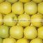New Crop Chinese Fresh sweet Golden delicious apple with good quality                        
                                                Quality Choice