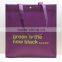 high quality|low MOQ Non woven stand shopping bag