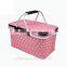 Manufacturer picnic cooler bag
