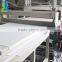 PVC Foam Sheets And WPC Board Manufacture