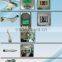 N8+2 Vacuum fat cellulite massage machines (Manufacturer)
