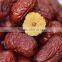 Dried Sweet jujube and Organic red dried jujube