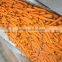 2016 NEW CARROT WITH LOWEST PRICE