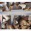 famous brand in china /popular food/ china frozen food mushroom