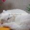 stuffed animal lovely plush cute taxidermy figurine kitty