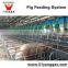 Wincore Automatic pig feeding system