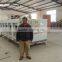 Automatic groundnut/ peanut roaster machine, peanut roaster for sale