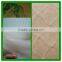 HDPE Virgin Material Anti Hail Net for Agricultural /bird Net