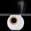 Hot selling water tyle warm mist ultrasonic perfume oil nebulizer with music