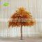 GNW BTR161031-002 8ft Autumn Maple Tree Landscaping Trees For Outdoor