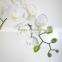 high quality real touch artificial white orchid wedding hot sell flower
