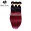 Wholesale fast shipping virgin Indian hair vendors , ombre hair