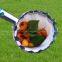 Fruit picker on telescopic handle