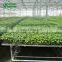 Commercial Outdoor Garden Planter Table Use Seed Bed Nets