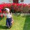 2020 New Girls 3 Pcs Set Crop Top+Wide Pants+Scarf Cotton Summer Fashion Girls Suits