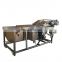 with high pressure system ginger bubble washer automatic industrial vegetable washing machine