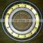 Hot Selling Factory Price Silver NU216 Double Row Cylindrical Roller Bearing Carbon RN309