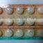PVC Material For Medicine Packing