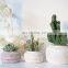 Ebay Hot Sold Circular Flower Pots Indoor Outdoor Ceramic Bulk Concrete Cheap Plant Pot For Garden