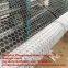 hexagonal wire mesh/chicken wire mesh/protecting wire mesh/PVC protective layer/ wire mesh