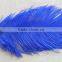 Party decoration Real Natural ostrich plumes , decorative feathers for garland