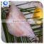 wholesale fishing frozen IQF monkfish