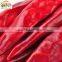 red hot chili for international market dried chilli stemless hot pepper