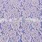 French Jacquard beautiful cotton knit fabric for evening dress