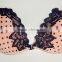 Uplift Front Closure Sponge Bras Cute Lingerie With Dotted