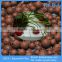 14-20mm Red Clay Balls Hydroponics,Expanded Clay Pellets