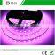 High Lumen Waterproof 5050 RGB LED Strip,High Lumens Flexible Non-waterproof IP20 5 Meter RGB LED Strip