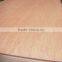 Bintangor Packaging Plywood/Poplar Packaging Plywood
