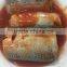 Canned jack Mackerel in Tomato Sauce tin paking with HACCP IFS,BRC ISO