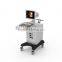 ultrasound machine color doppler