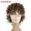 Ceres Hair Heat Resistant Short Afro Kinky Curly Wig for Black Women