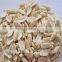 Splitted Shandong blanched peanut with best price