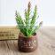 High Quanlity Succulent Plants For Decoration Artificial Plants Succulents Wholesale