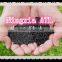 Coal granular activated carbon for sale