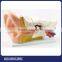 High quality Ear anatomy model from Soundlink