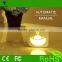 Hot sales eletronic Power Led motion and light sensor night light