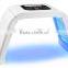 Skin Lifting PDT System Skin Rejuvenation Beauty Instrument Led Light Therapy PDT Machine Facial Led Light Therapy