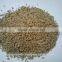 Cumin Sortex and Machine Clean