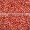 RED SKIN BOLD PEANUT KERNEL SUPPLIER 50/60