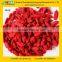 GMP manufacturer supply High quanlity Goji Berry extract powder