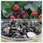 Chinese cloud ear fungus tree ear black fungus tree-fungus