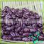 Color Selected Purple Speckled Kidney Beans