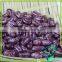 Bulk Chinese All Variety Cheap Price Purple Kidney Beans