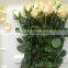 Fresh cut flowers rose flower for decoration