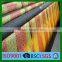 100% HDPE with UV good quality orange safety net